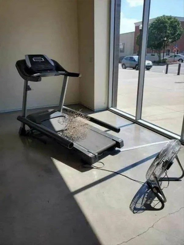 posted Mon 3/24Got Any Fish, Bub?